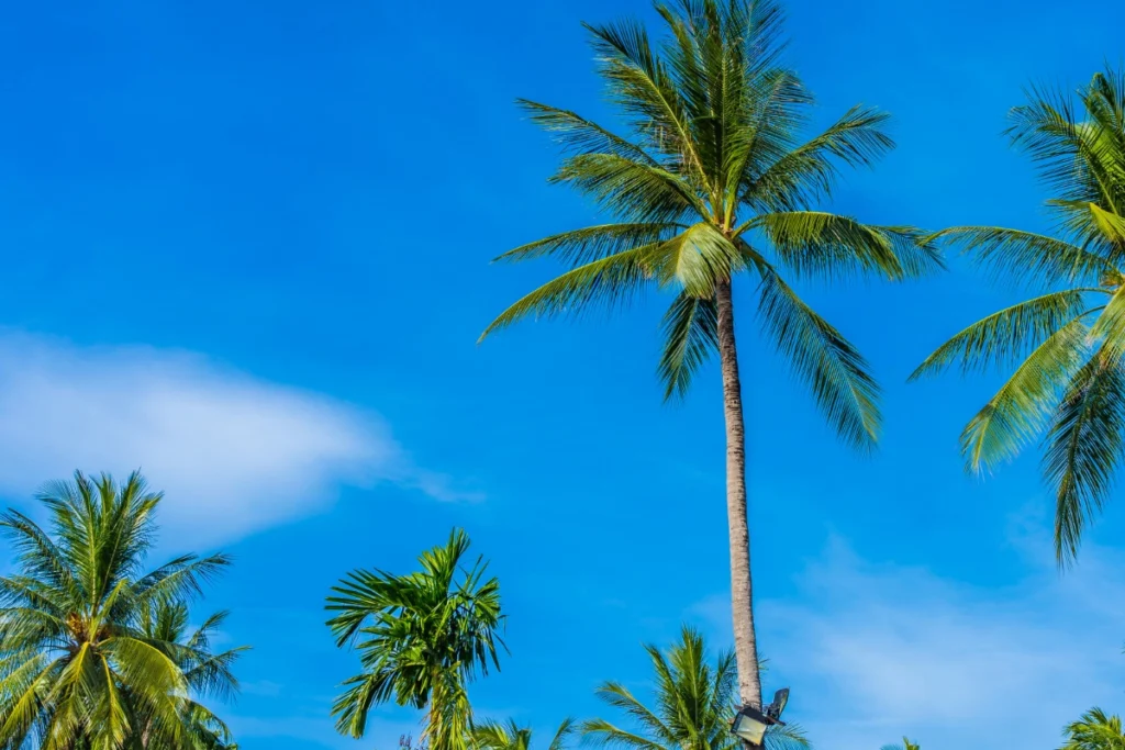 Destinos Linha Verde Bahia