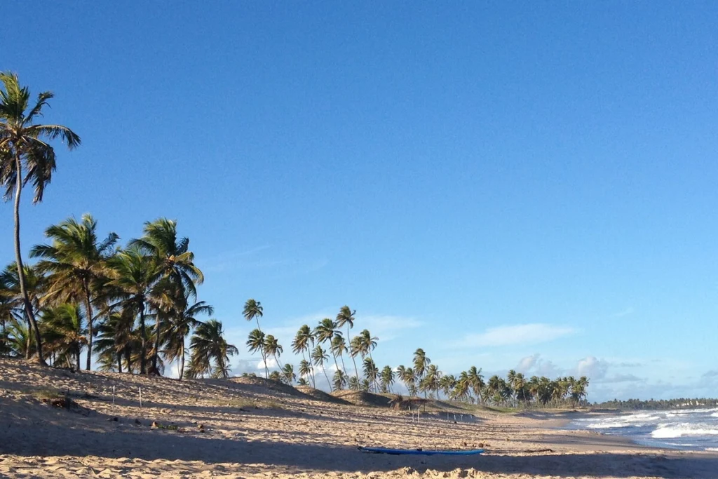 Linha Verde litoral norte