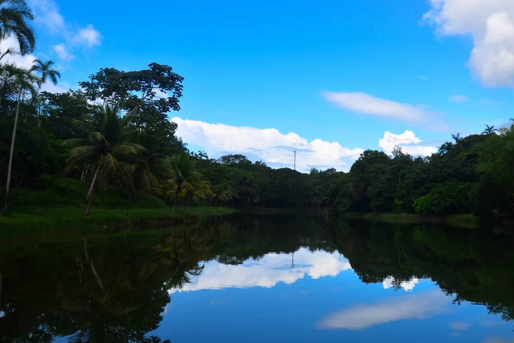 Destinos Linha Verde Bahia 