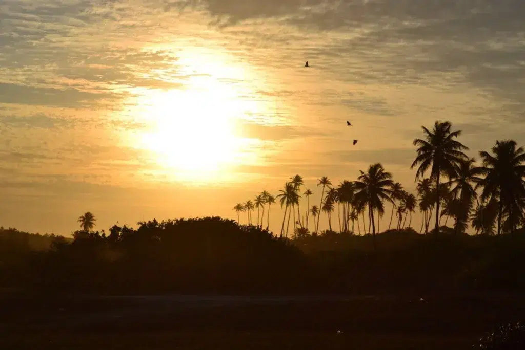 Praias da Linha Verde na Bahia