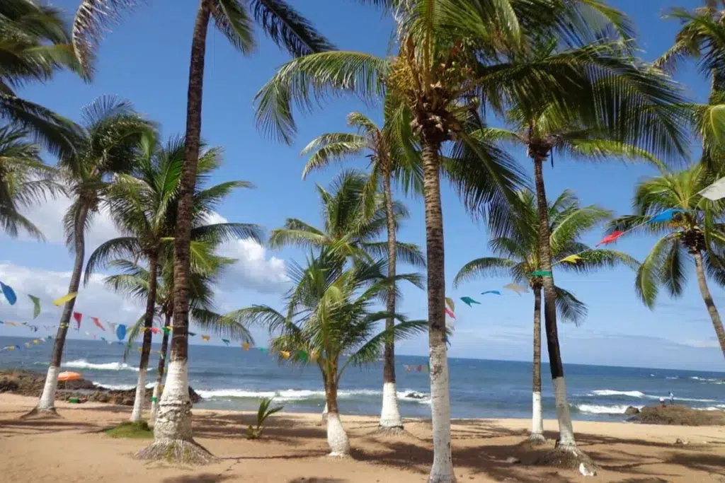 Passeios em Salvador